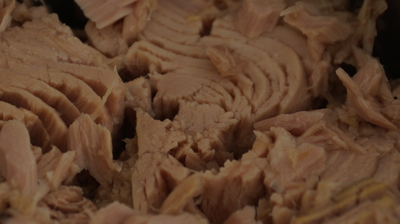 Tuńczyk w puszce – pomysły na niecodzienne zastosowanie popularnego produktu: potrawy z tuńczyka w puszce