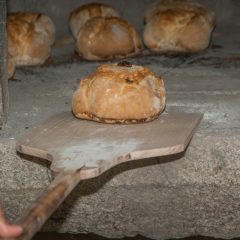 Prosty sposób na zdrowie jedzenie z zamówienia –  catering bezglutenowy. Chleb bezglutenowy na zakwasie w Warszawie